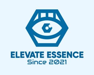 Blue Hexagon Eye  logo
