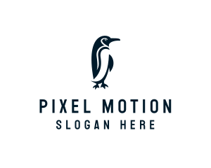 Penguin Animal Bird logo design