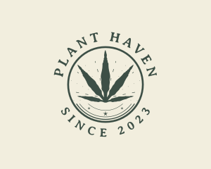 Natural Cannabis Plant logo design