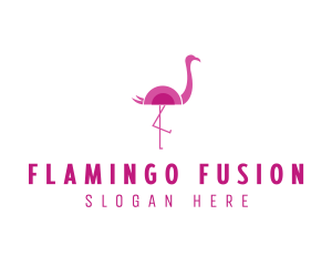 Flamingo Wildlife Aviary logo