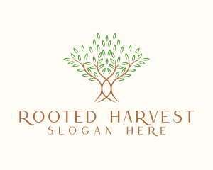 Organic Wellness Tree logo design