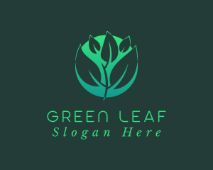 Green Sprout Leaf logo design