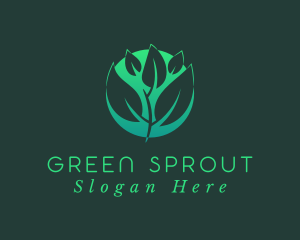 Green Sprout Leaf logo design