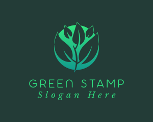 Green Sprout Leaf logo design