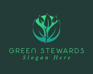 Green Sprout Leaf logo design