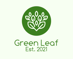 Green Herbal Plant  logo design