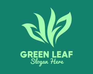 Green Organic Herb Logo