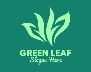 Green Organic Herb logo design