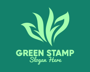 Green Organic Herb logo design