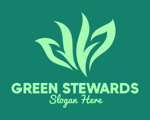 Green Organic Herb logo design