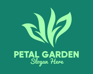 Green Organic Herb logo design