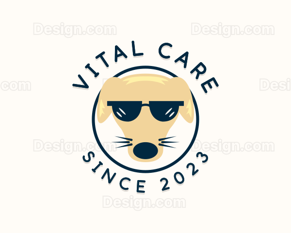 Cool  Dog Sunglasses Logo