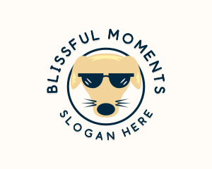 Cool  Dog Sunglasses Logo