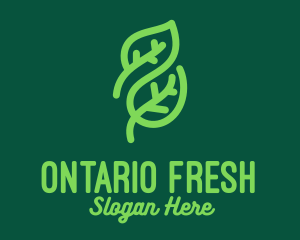 Fresh Organic Farm  logo design