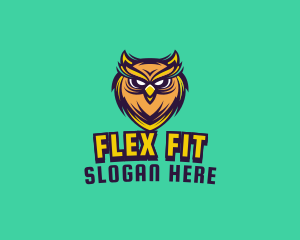 Owl Bird Avatar logo design