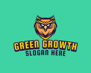 Owl Bird Avatar logo design