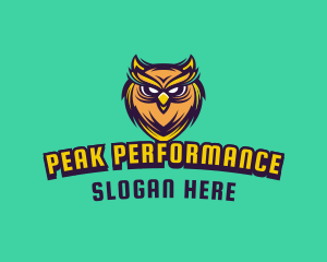 Owl Bird Avatar logo design