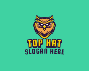 Owl Bird Avatar logo design