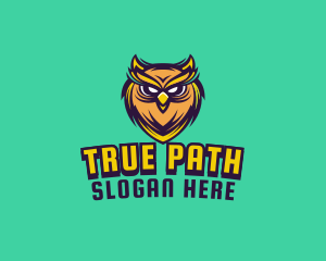 Owl Bird Avatar logo design