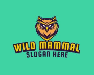 Owl Bird Avatar logo design