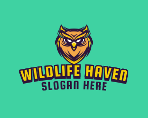 Owl Bird Avatar logo design