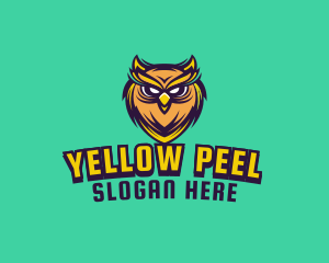 Owl Bird Avatar logo design