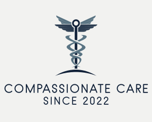 Caduceus Healthcare Clinic logo