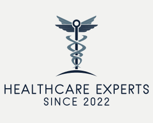 Caduceus Healthcare Clinic logo