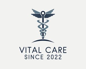 Caduceus Healthcare Clinic logo