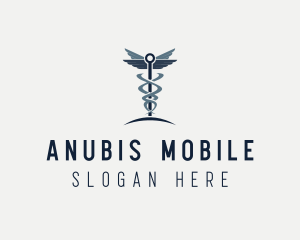 Caduceus Healthcare Clinic logo design