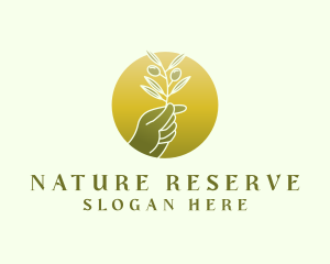 Nature Olive Leaf logo design