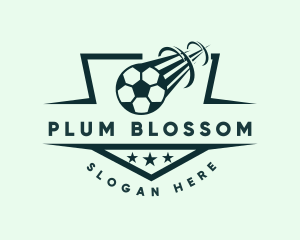 Soccer Ball Football logo design