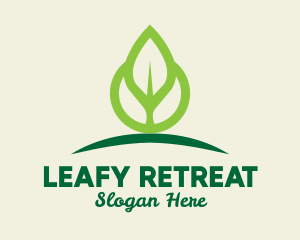 Eco Leaf Sprout logo design