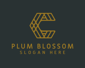 Premier Boutique Firm logo design