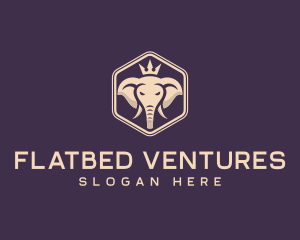 Corporate Elephant Crown logo design