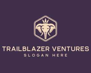 Corporate Elephant Crown logo design