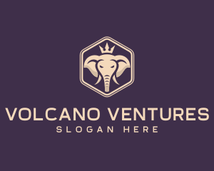 Corporate Elephant Crown logo design