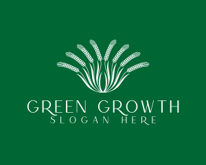 Green Eco Wheat logo design