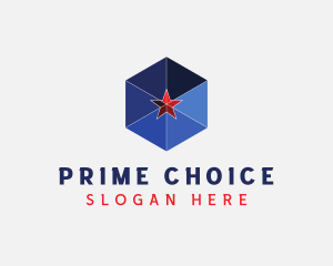 Geometric Cube Star Logo