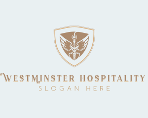 Stethoscope Caduceus Clinic logo design