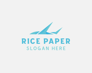 Plane Courier Flight logo design