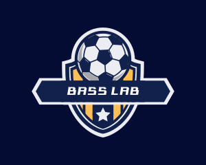 Soccer Ball Shield logo design