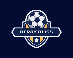 Soccer Ball Shield logo design