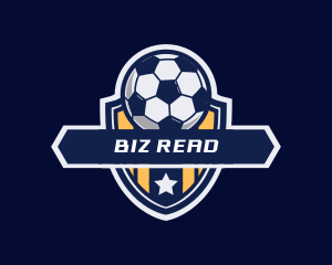 Soccer Ball Shield logo design