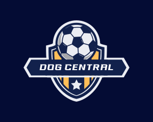 Soccer Ball Shield logo design