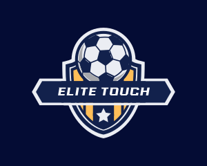 Soccer Ball Shield logo design