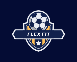 Soccer Ball Shield logo design