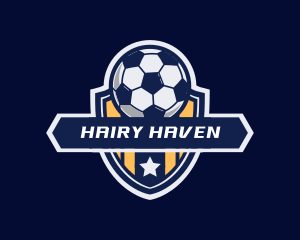 Soccer Ball Shield logo design