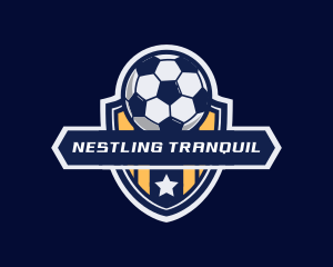 Soccer Ball Shield logo design