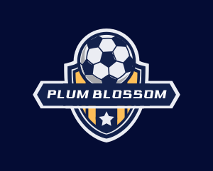 Soccer Ball Shield logo design